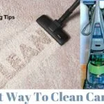 Best Way To Clean Carpet